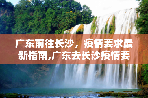 广东前往长沙，疫情要求最新指南,广东去长沙疫情要求最新