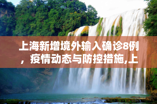 上海新增境外输入确诊8例，疫情动态与防控措施,上海新增境外输入确诊8例