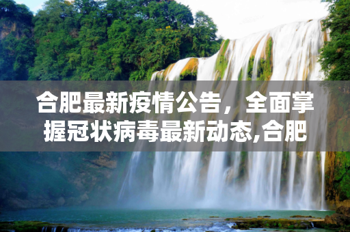 合肥最新疫情公告，全面掌握冠状病毒最新动态,合肥最新疫情最新公告:合肥最新冠状疫情报告