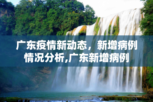 广东疫情新动态，新增病例情况分析,广东新增病例