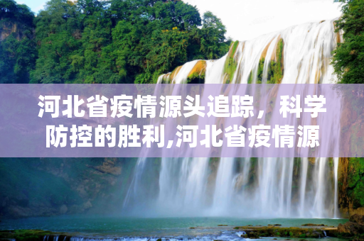 河北省疫情源头追踪，科学防控的胜利,河北省疫情源头找到