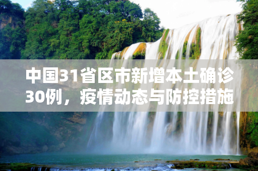 中国31省区市新增本土确诊30例，疫情动态与防控措施,31省区市新增本土确诊30例