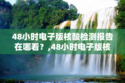 48小时电子版核酸检测报告在哪看？,48小时电子版核酸检测报告在哪看