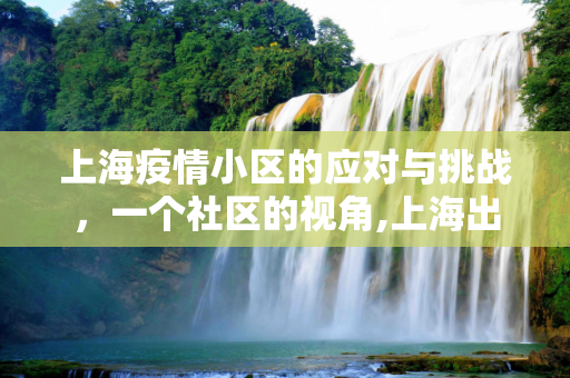 上海疫情小区的应对与挑战，一个社区的视角,上海出现疫情的小区