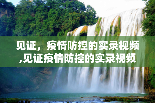 见证，疫情防控的实录视频,见证疫情防控的实录视频