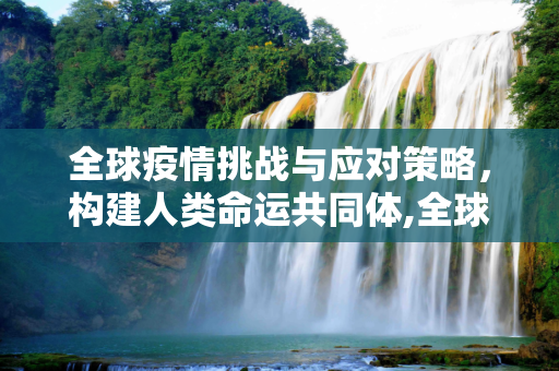 全球疫情挑战与应对策略，构建人类命运共同体,全球疫情挑战与应对策略