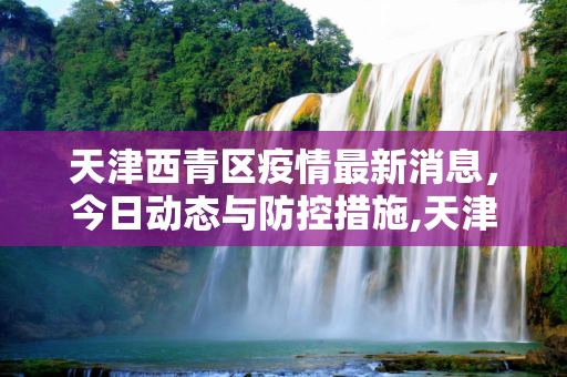 天津西青区疫情最新消息，今日动态与防控措施,天津西青区疫情最新消息今天