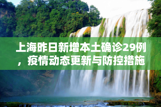上海昨日新增本土确诊29例，疫情动态更新与防控措施,上海昨日新增本土确诊29例