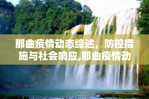那曲疫情动态综述，防控措施与社会响应,那曲疫情动态综述