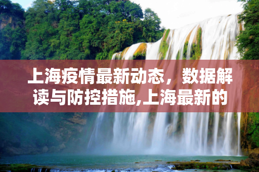上海疫情最新动态，数据解读与防控措施,上海最新的疫情数据