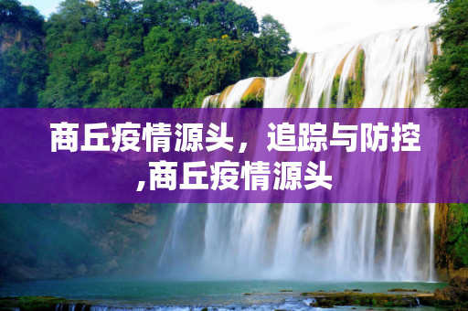 商丘疫情源头，追踪与防控,商丘疫情源头