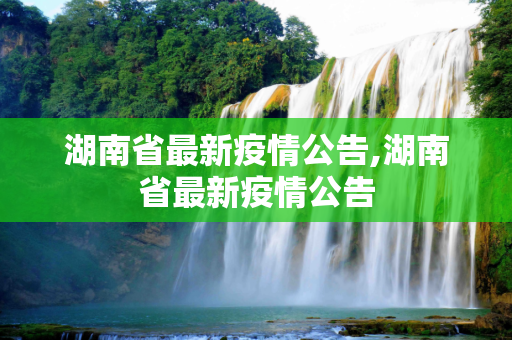 湖南省最新疫情公告,湖南省最新疫情公告