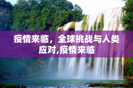 疫情来临，全球挑战与人类应对,疫情来临