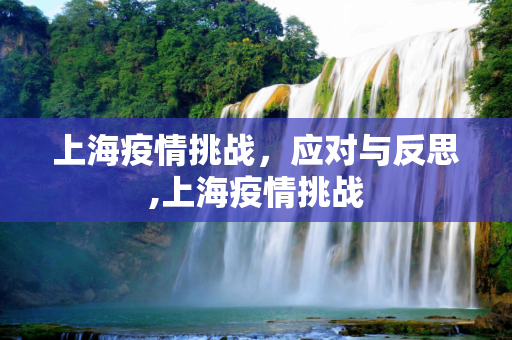 上海疫情挑战，应对与反思,上海疫情挑战