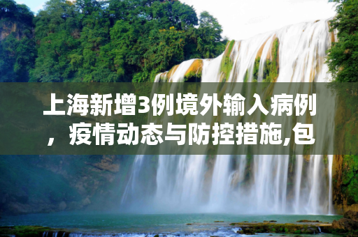 上海新增3例境外输入病例，疫情动态与防控措施,包含上海新增3例境外输入病例的词条