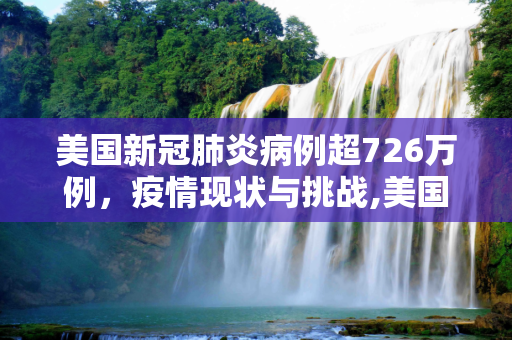 美国新冠肺炎病例超726万例，疫情现状与挑战,美国新冠肺炎超726万例