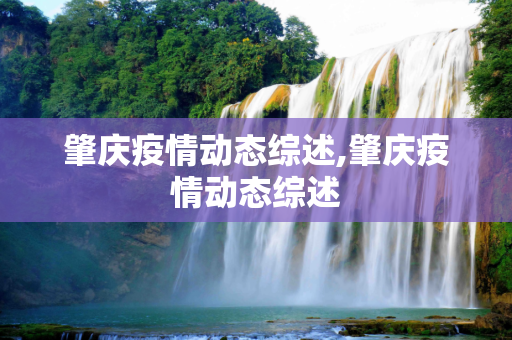肇庆疫情动态综述,肇庆疫情动态综述