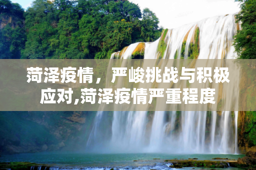 菏泽疫情，严峻挑战与积极应对,菏泽疫情严重程度