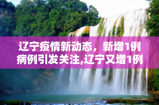 辽宁疫情新动态，新增1例病例引发关注,辽宁又增1例
