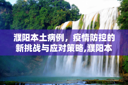濮阳本土病例，疫情防控的新挑战与应对策略,濮阳本土病例