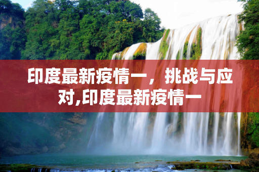印度最新疫情一，挑战与应对,印度最新疫情一