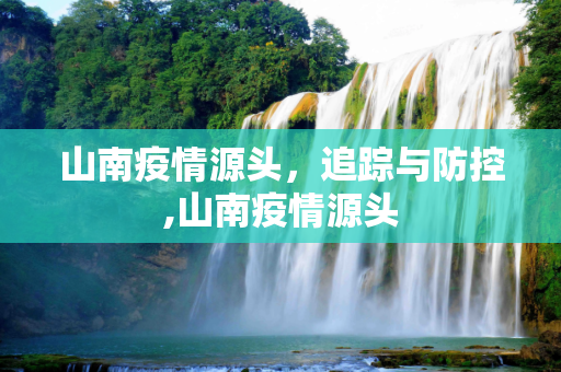 山南疫情源头，追踪与防控,山南疫情源头