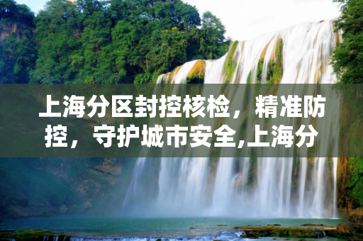 上海分区封控核检，精准防控，守护城市安全,上海分区封控核检