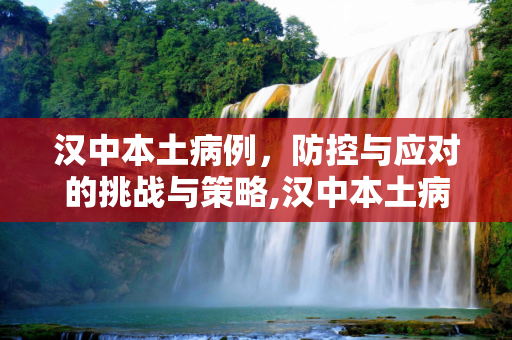 汉中本土病例，防控与应对的挑战与策略,汉中本土病例