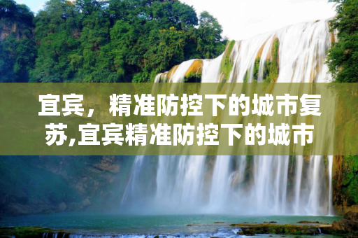 宜宾，精准防控下的城市复苏,宜宾精准防控下的城市复苏