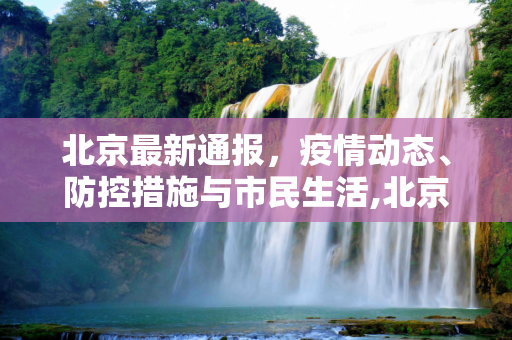 新闻 第55页