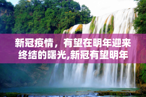 新冠疫情，有望在明年迎来终结的曙光,新冠有望明年结束