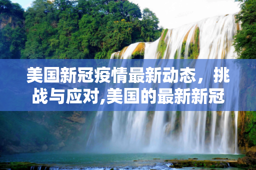 美国新冠疫情最新动态，挑战与应对,美国的最新新冠疫情