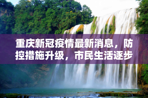 重庆新冠疫情最新消息，防控措施升级，市民生活逐步恢复,重庆新冠疫情最新消息