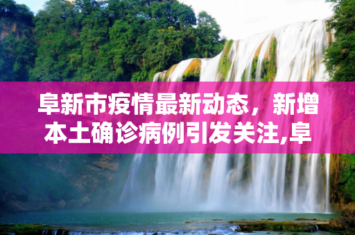 阜新市疫情最新动态，新增本土确诊病例引发关注,阜新新增本土确诊