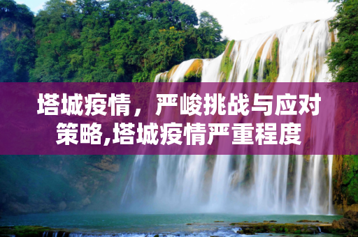 塔城疫情，严峻挑战与应对策略,塔城疫情严重程度
