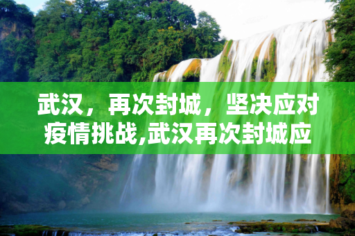 武汉，再次封城，坚决应对疫情挑战,武汉再次封城应对疫情