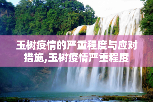 玉树疫情的严重程度与应对措施,玉树疫情严重程度