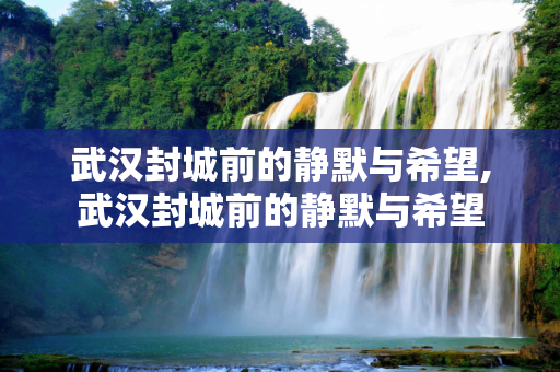武汉封城前的静默与希望,武汉封城前的静默与希望