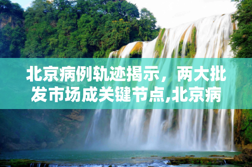 北京病例轨迹揭示，两大批发市场成关键节点,北京病例轨迹涉两大批发市场