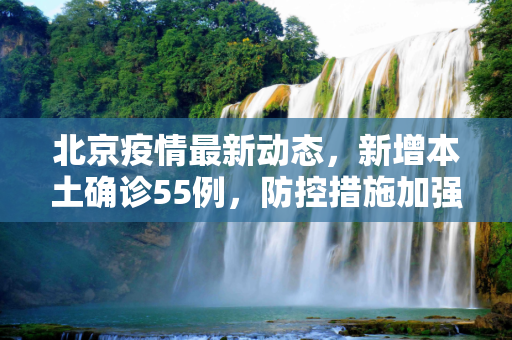 北京疫情最新动态，新增本土确诊55例，防控措施加强,北京增本土确诊55例