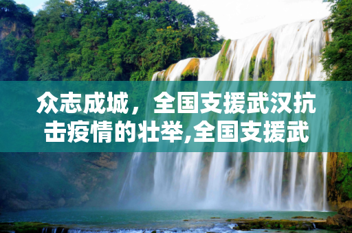 众志成城，全国支援武汉抗击疫情的壮举,全国支援武汉