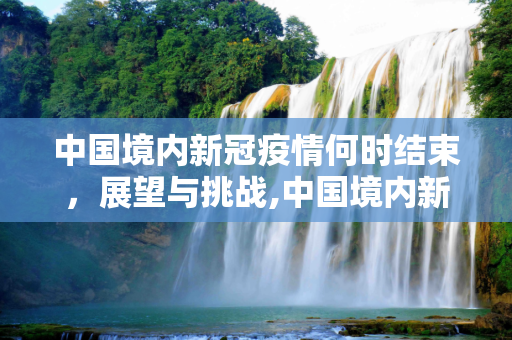 中国境内新冠疫情何时结束，展望与挑战,中国境内新冠疫情何时结束