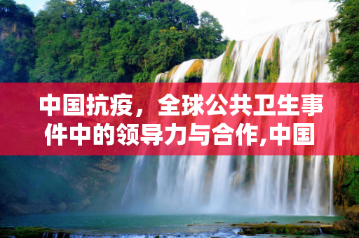 中国抗疫，全球公共卫生事件中的领导力与合作,中国抗疫