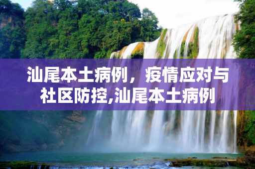 汕尾本土病例，疫情应对与社区防控,汕尾本土病例