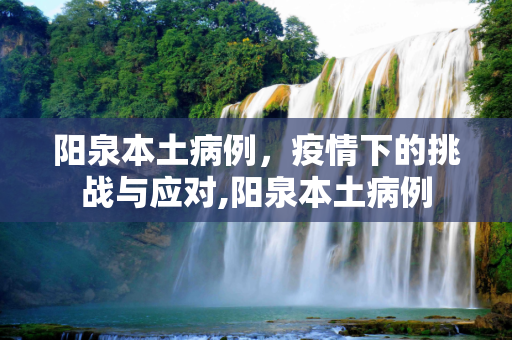 阳泉本土病例，疫情下的挑战与应对,阳泉本土病例
