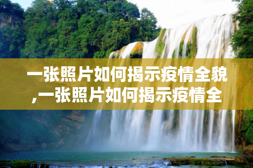 一张照片如何揭示疫情全貌,一张照片如何揭示疫情全貌