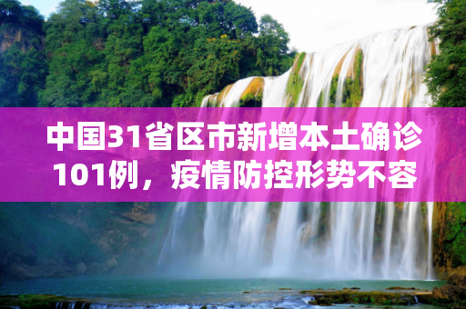 中国31省区市新增本土确诊101例，疫情防控形势不容忽视,31省新增本土确诊101例