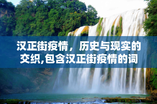汉正街疫情，历史与现实的交织,包含汉正街疫情的词条