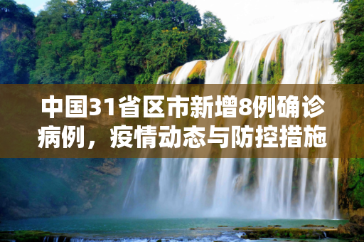 中国31省区市新增8例确诊病例，疫情动态与防控措施,31省区市新增8例确诊病例