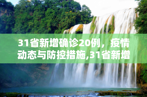 31省新增确诊20例，疫情动态与防控措施,31省新增确诊20例